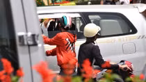 “Cò đặc sản Đà Lạt” gây phiền nhiễu du khách