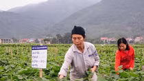 Thực thi quyền sở hữu trí tuệ là bảo vệ quyền lợi cho doanh nghiệp và cơ sở sản xuất kinh doanh
