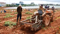 Nông dân “méo mặt” vì nông sản rớt giá 