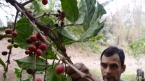 “Khủng hoảng kép” do làn sóng di cư và biến đổi khí hậu ở Honduras