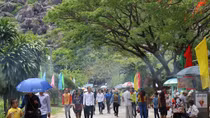 Đồi Tức Dụp – Màu hoa đỏ