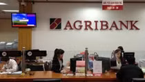 Năm 2018 hệ thống Agribank trả lại tiền thừa cho khách hàng trên 136 tỷ đồng