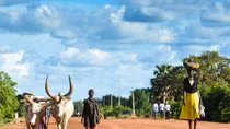 Cuộc chiến đổi bò lấy cô dâu tuổi teen ở Nam Sudan