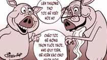 Để ngành chăn nuôi lợn không vỡ trận