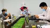 Ngăn chặn “rác” độc trên không gian mạng: Quyết liệt xử lý