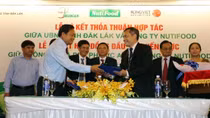 Hợp tác đầu tư 1.000 tỷ đồng phát triển “vàng đen” tại thủ phủ cà phê