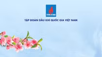 11 tháng năm 2019, tổng doanh thu PVN vượt 11,9% kế hoạch năm