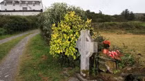 Vụ án mạng ly kỳ ở West Cork