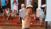 Dân vùng lụt Hà Nội bắt cá trong sân nhà