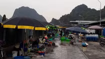 Công an vào cuộc điều tra việc “tận thu” tại chợ Hạ Long I