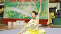 Việt Nam xếp thứ 3 toàn đoàn Giải vô địch wushu trẻ thế giới 2016