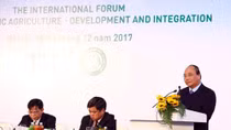 Không phát triển nông nghiệp hữu cơ ồ ạt theo phong trào