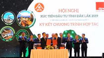 "Biến Buôn Ma Thuột thành điểm đến của cà phê thế giới"