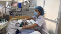 Sau những ngày mưa, cần đề phòng rắn độc cắn