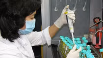 Thành phố đáng sống thì thực phẩm cũng phải an toàn và sạch