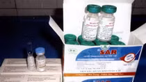 Bộ Y tế đảm bảo cung ứng đủ vaccine phòng dại
