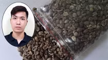 Đóng gói ma túy vào hộp cà phê, thuê "dịch vụ" gửi sang Nhật Bản