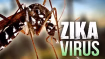 Việt Nam phát hiện thêm 2 người mắc Zika 