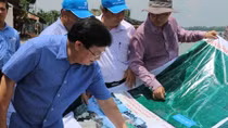 Phó Thủ tướng Trịnh Đình Dũng khảo sát tình hình sạt lở tại An Giang