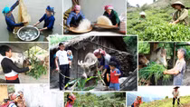 Thành tựu xóa đói giảm nghèo - minh chứng sinh động đảm bảo quyền con người của Việt Nam