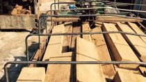 Bắt giữ 2 xe chở gỗ rừng quý hiếm, tạm giữ 7 đối tượng