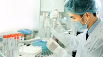 Virus biến thể của Ấn Độ và Anh có trong ca nhiễm cộng đồng tại Việt Nam