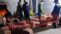 Bắt kho gỗ nghiến tập kết tại Hà Giang