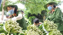 Tấm lòng cán bộ, chiến sỹ phố núi gửi về thành phố mang tên Bác