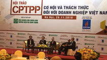 CPTPP: Thị trường nội địa là mỏ vàng cho các doanh nghiệp khai thác