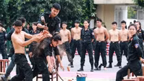 Mãn nhãn với màn đấu võ, luyện khí công của Cảnh sát đặc nhiệm 