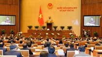 Thêm tội kinh doanh đa cấp vào Bộ luật Hình sự liệu có góp phần phòng ngừa tội phạm