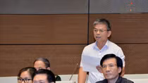"Biển số đẹp sinh ra để quản lý chứ không phải tài sản để đấu giá"