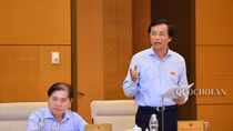 Tăng tỷ lệ ĐBQH chuyên trách, nên hay không?
