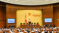 Năm 2019 Quốc hội giám sát quản lý, sử dụng đất và phòng cháy, chữa cháy