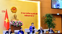 UBTVQH cho ý kiến về Chương trình xây dựng luật, pháp lệnh năm 2020