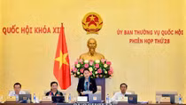 12 điểm nhấn kinh tế - xã hội quan trọng, tạo hiệu ứng lan toả trên nhiều lĩnh vực
