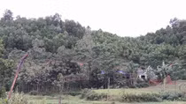 Sét đánh trúng giường ngủ, hai bố con tử vong