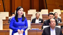 Bộ trưởng Bộ Y tế lý giải tình trạng làm giả bệnh án tâm thần