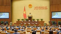 Quốc hội thảo luận ở hội trường về Luật Phòng, chống ma túy (sửa đổi)