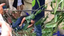 Đứt dây cáp sàn treo xây dựng ở Thái Hà khiến 3 người bị thương