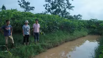 Công an huyện Phúc Thọ nói về vụ cháu bé tử vong ở vườn đu đủ