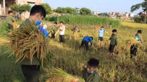 Tuổi trẻ Học viện An ninh ra quân tình nguyện hè 