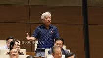 Đại biểu “hun nóng” nghị trường với cháy Rạng Đông và nước sạch sông Đà