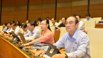 Phấn đấu đến năm 2025 thu nhập bình quân đồng bào dân tộc thiểu số tăng hơn 2 lần