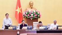 Tập trung vốn ODA cho lĩnh vực đột phá, mang lại hiệu quả