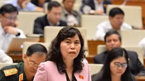 Giảm Phó Chủ tịch HĐND chuyên trách thì riêng việc đi họp đã rất thiếu người