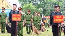 283 chó nghiệp vụ tranh tài khu vực phía Bắc