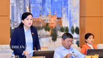 Có hay không "lợi ích nhóm" giữa biên soạn và phát hành sách giáo khoa?
