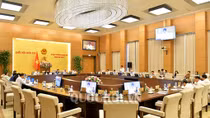 Cử tri lo ngại tham nhũng chỉ được xử lý khi có sự chỉ đạo của Tổng Bí thư