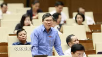 ĐBQH đề nghị bổ sung chế tài xử lý hành vi xúc phạm Đảng kỳ